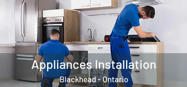 Appliances Installation Blackhead - Ontario