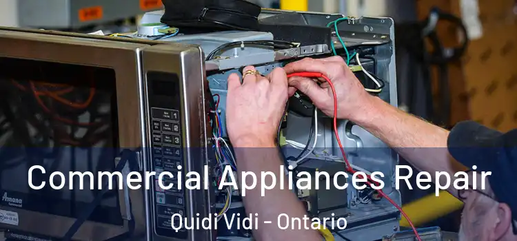 Commercial Appliances Repair Quidi Vidi - Ontario