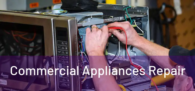 Commercial Appliances Repair 