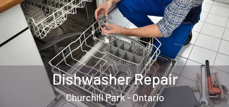 Dishwasher Repair Churchill Park - Ontario
