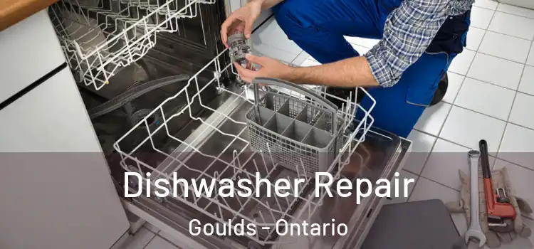 Dishwasher Repair Goulds - Ontario