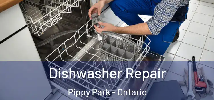 Dishwasher Repair Pippy Park - Ontario