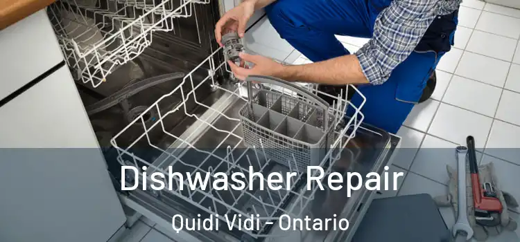 Dishwasher Repair Quidi Vidi - Ontario