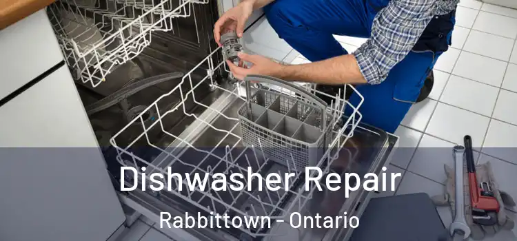 Dishwasher Repair Rabbittown - Ontario