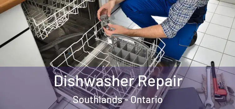 Dishwasher Repair Southlands - Ontario