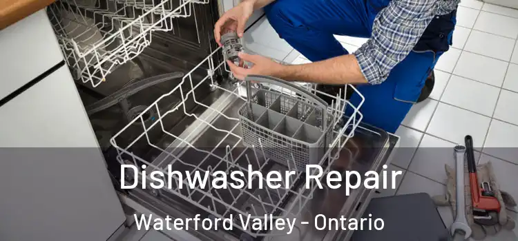 Dishwasher Repair Waterford Valley - Ontario
