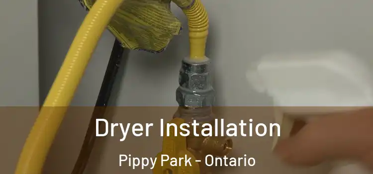 Dryer Installation Pippy Park - Ontario