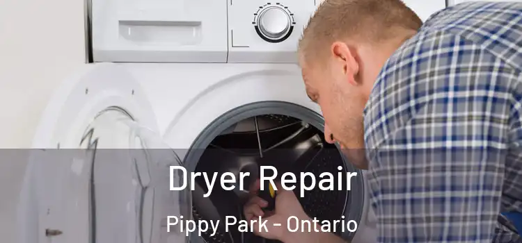 Dryer Repair Pippy Park - Ontario