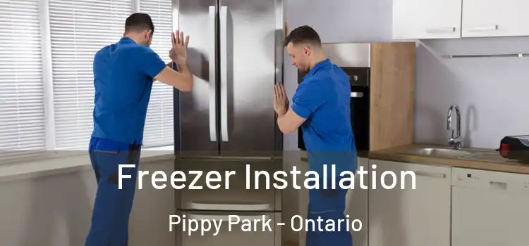 Freezer Installation Pippy Park - Ontario