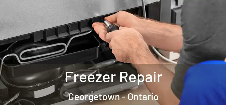 Freezer Repair Georgetown - Ontario