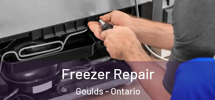 Freezer Repair Goulds - Ontario