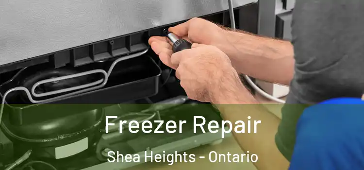 Freezer Repair Shea Heights - Ontario