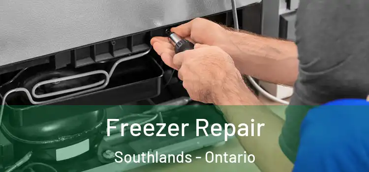 Freezer Repair Southlands - Ontario