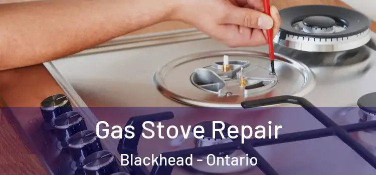 Gas Stove Repair Blackhead - Ontario