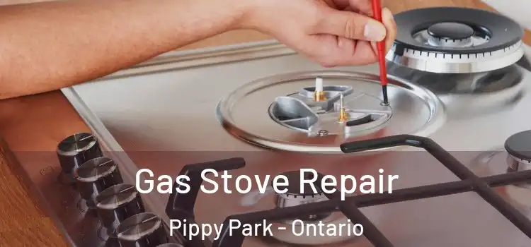 Gas Stove Repair Pippy Park - Ontario