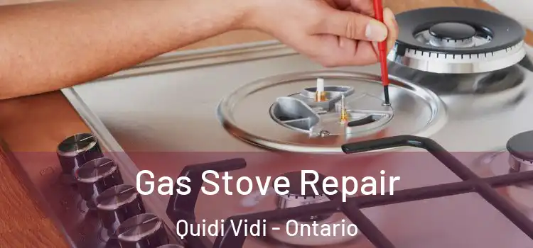 Gas Stove Repair Quidi Vidi - Ontario