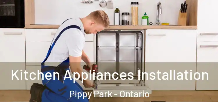 Kitchen Appliances Installation Pippy Park - Ontario