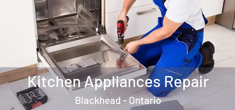 Kitchen Appliances Repair Blackhead - Ontario