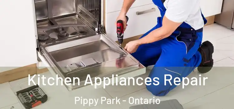 Kitchen Appliances Repair Pippy Park - Ontario