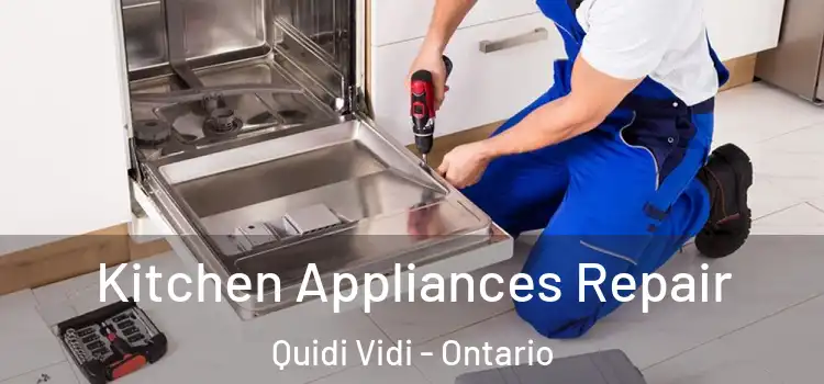 Kitchen Appliances Repair Quidi Vidi - Ontario