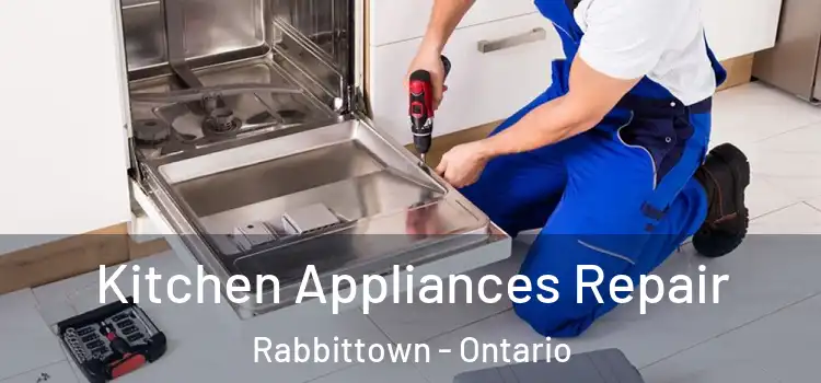 Kitchen Appliances Repair Rabbittown - Ontario