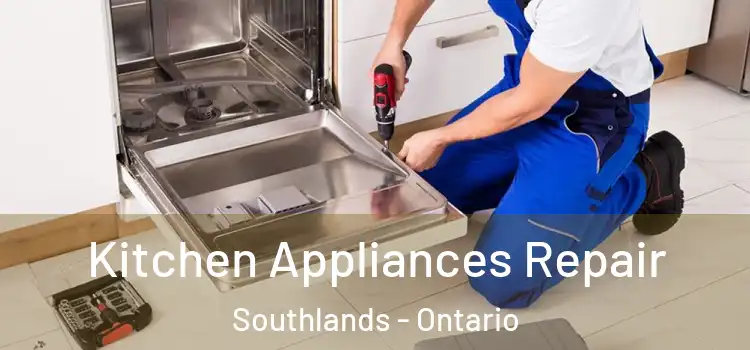 Kitchen Appliances Repair Southlands - Ontario