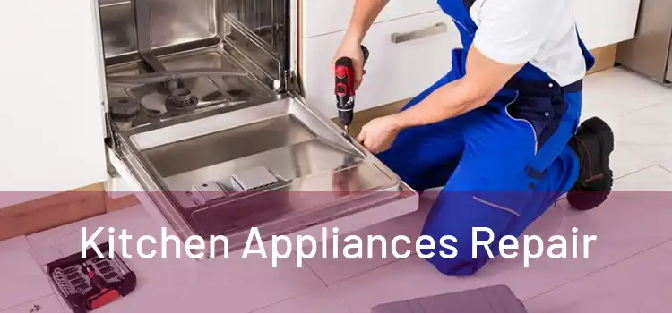 Kitchen Appliances Repair 