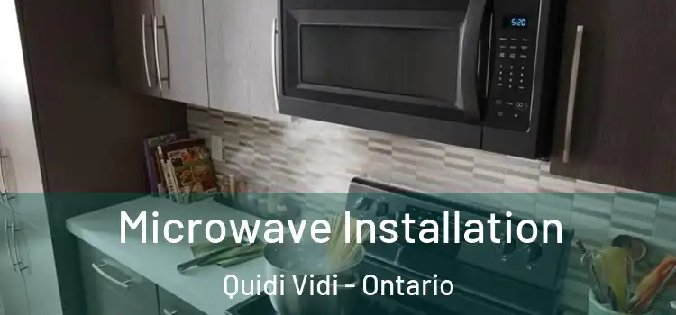 Microwave Installation Quidi Vidi - Ontario