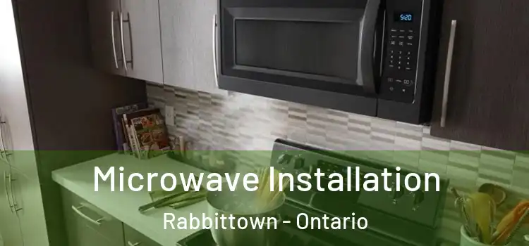 Microwave Installation Rabbittown - Ontario