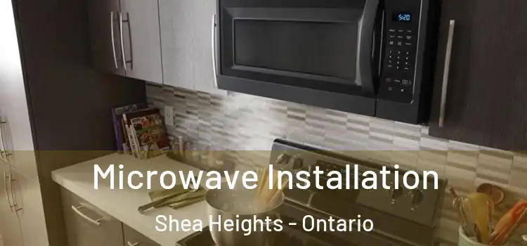 Microwave Installation Shea Heights - Ontario