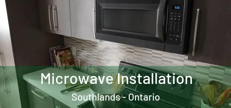 Microwave Installation Southlands - Ontario