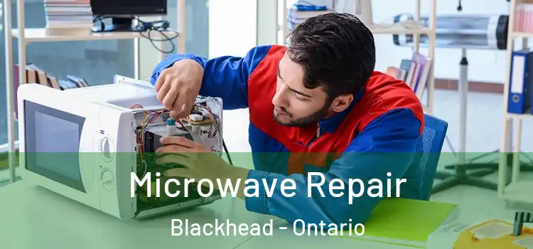 Microwave Repair Blackhead - Ontario