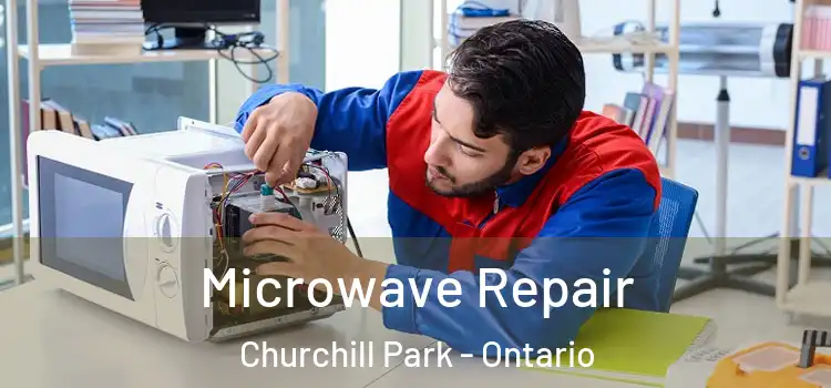 Microwave Repair Churchill Park - Ontario