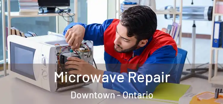 Microwave Repair Downtown - Ontario