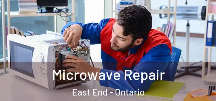 Microwave Repair East End - Ontario