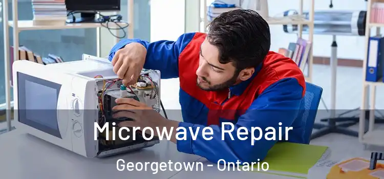 Microwave Repair Georgetown - Ontario