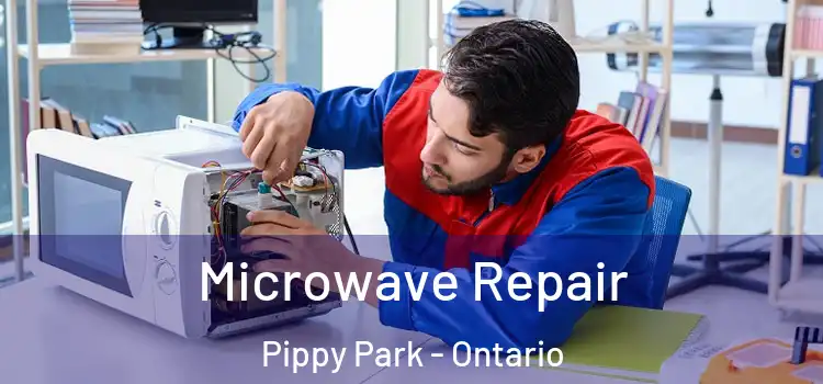 Microwave Repair Pippy Park - Ontario