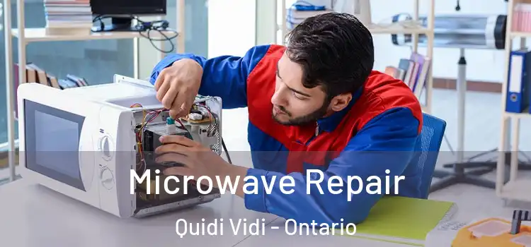 Microwave Repair Quidi Vidi - Ontario