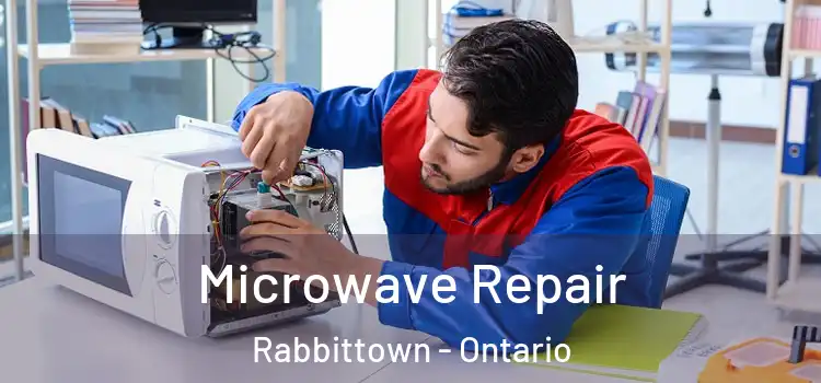 Microwave Repair Rabbittown - Ontario