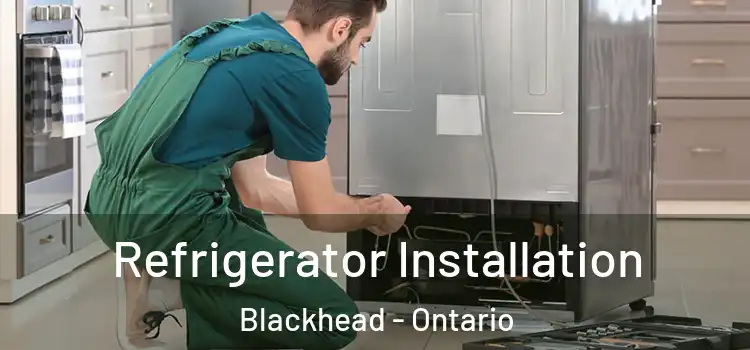 Refrigerator Installation Blackhead - Ontario