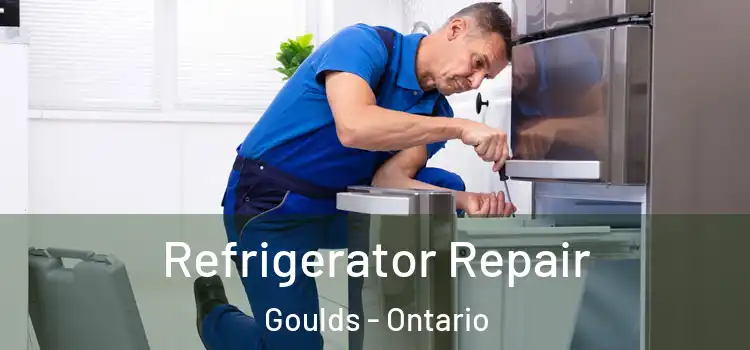 Refrigerator Repair Goulds - Ontario