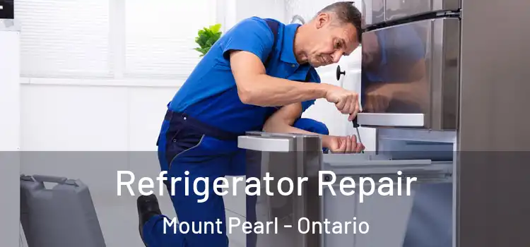 Refrigerator Repair Mount Pearl - Ontario