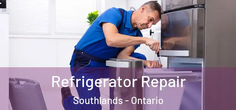 Refrigerator Repair Southlands - Ontario