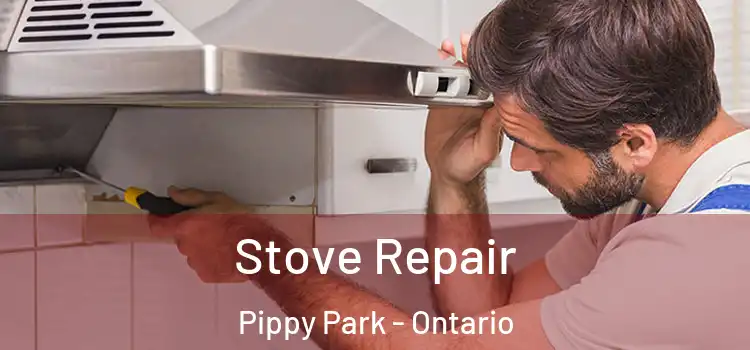 Stove Repair Pippy Park - Ontario